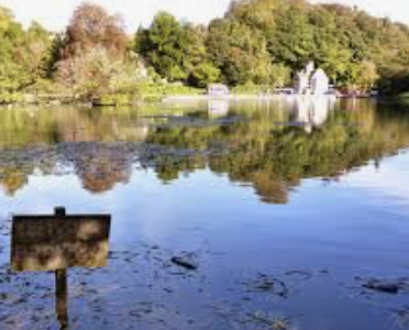 Swanbourne Lake Walk and Beyond (Pace1 - 2) - Arundel