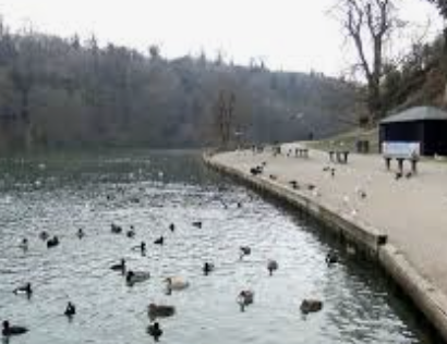 Swanbourne Lake Walk and Beyond (Pace1 - 2) - Arundel