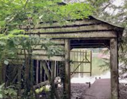 Swanbourne Lake Walk and Beyond (Pace1 - 2) - Arundel