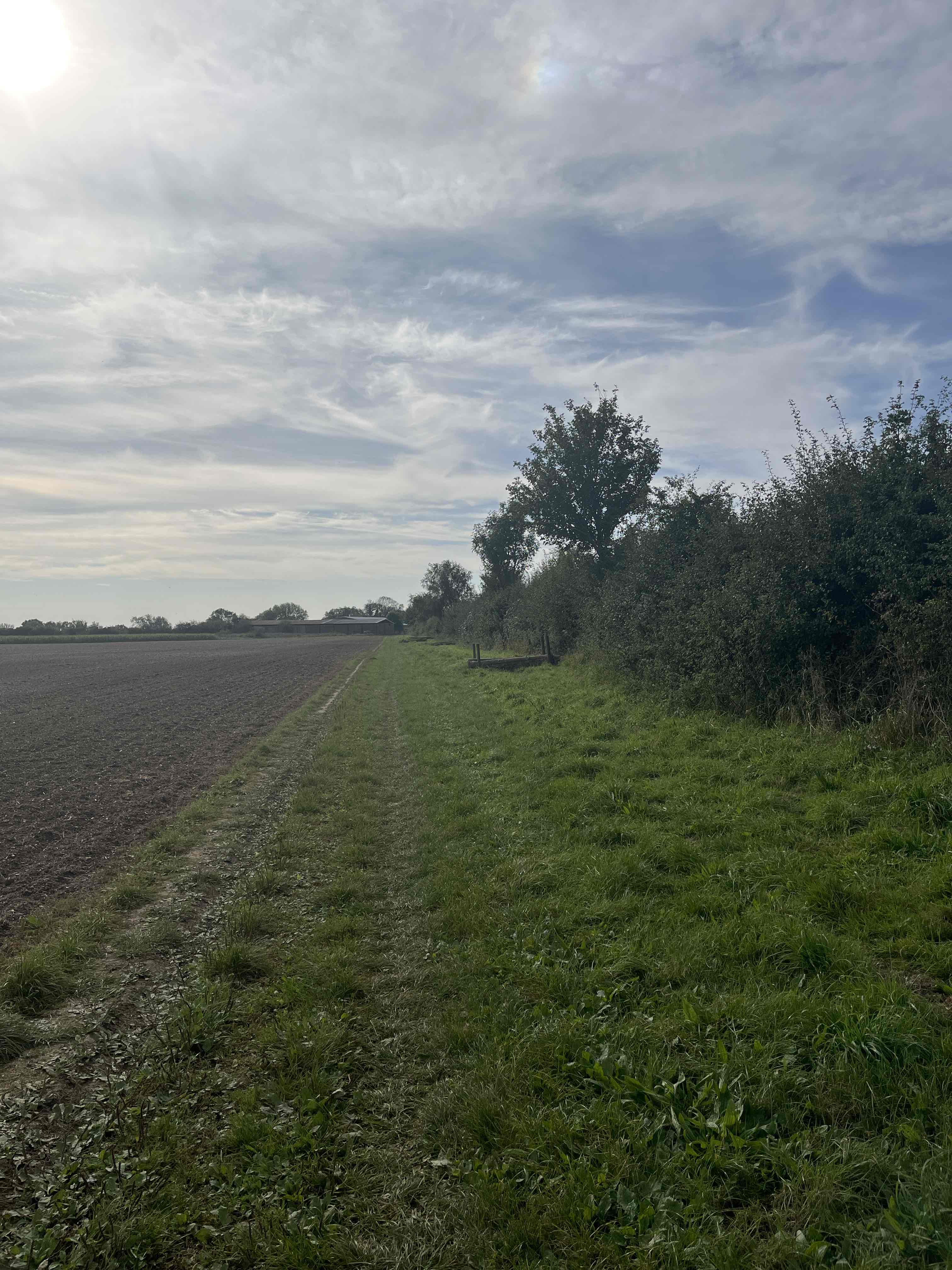 Gear 2 walk - Collingbourne Woods