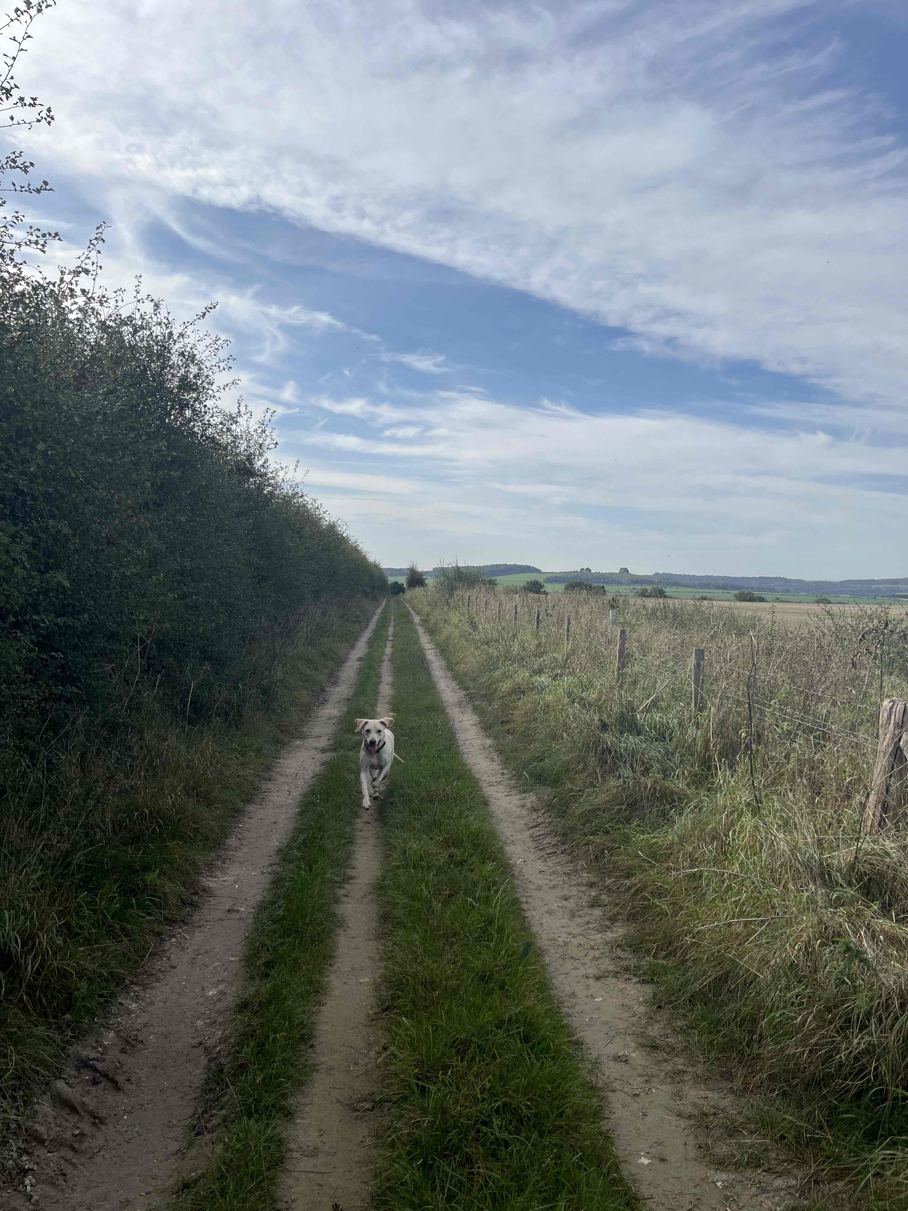 Gear 2 walk - Collingbourne Woods