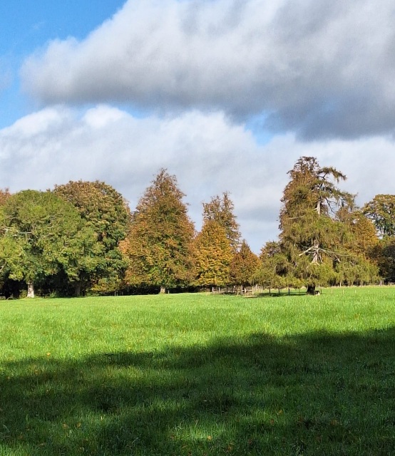 evening walk & Pub! Tichborne and the Tichborne Arms! (Gear 1 to 2) - 4 miles