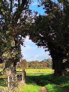 evening walk & Pub! Tichborne and the Tichborne Arms! (Gear 1 to 2) - 4 miles