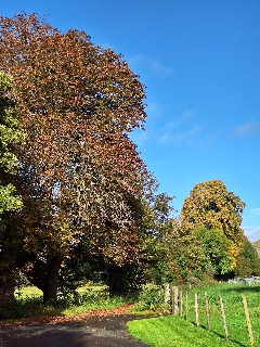 evening walk & Pub! Tichborne and the Tichborne Arms! (Gear 1 to 2) - 4 miles
