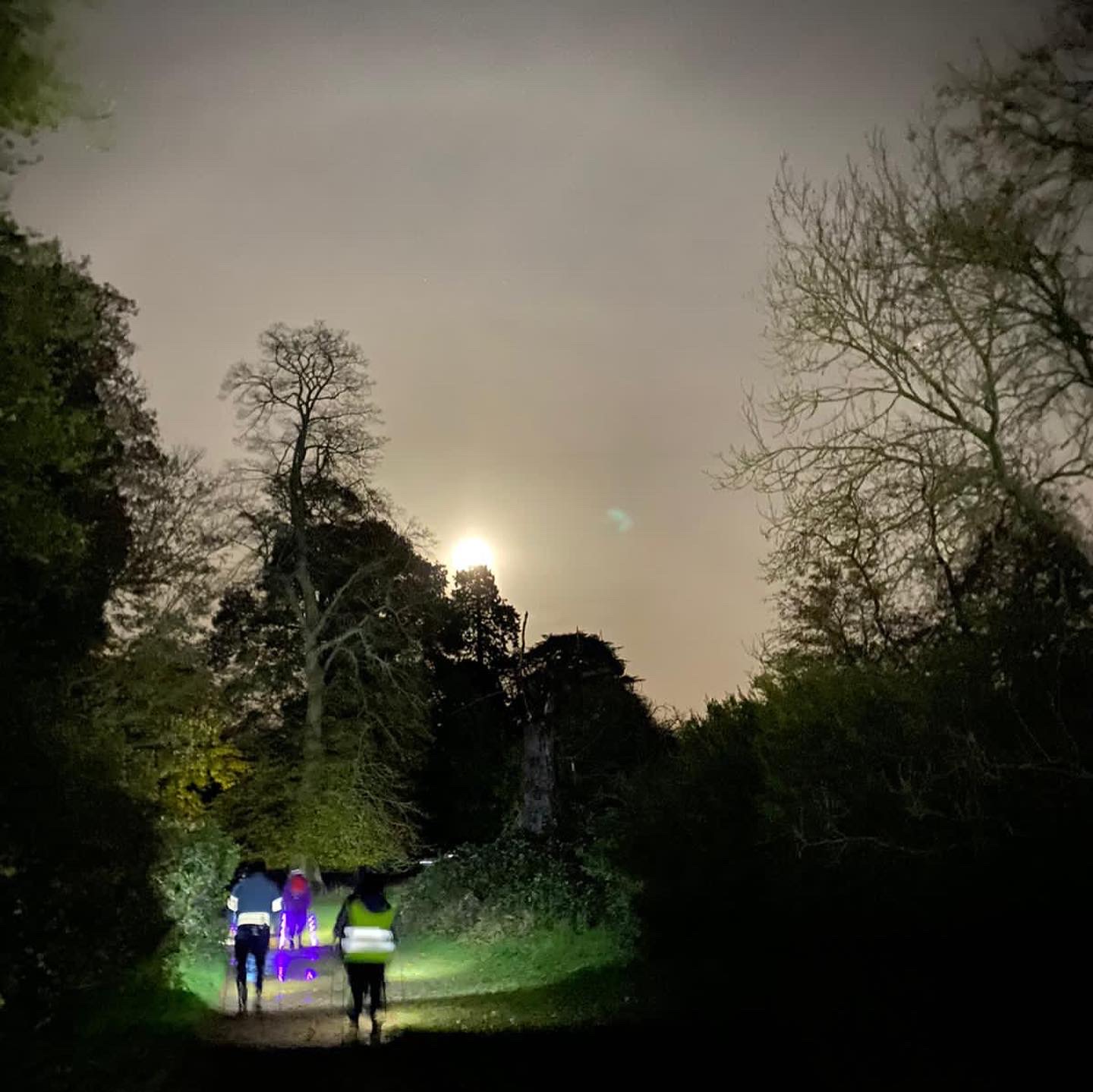 WOBURN, EVENING 1hr Moderate Adventure Walk with Emma