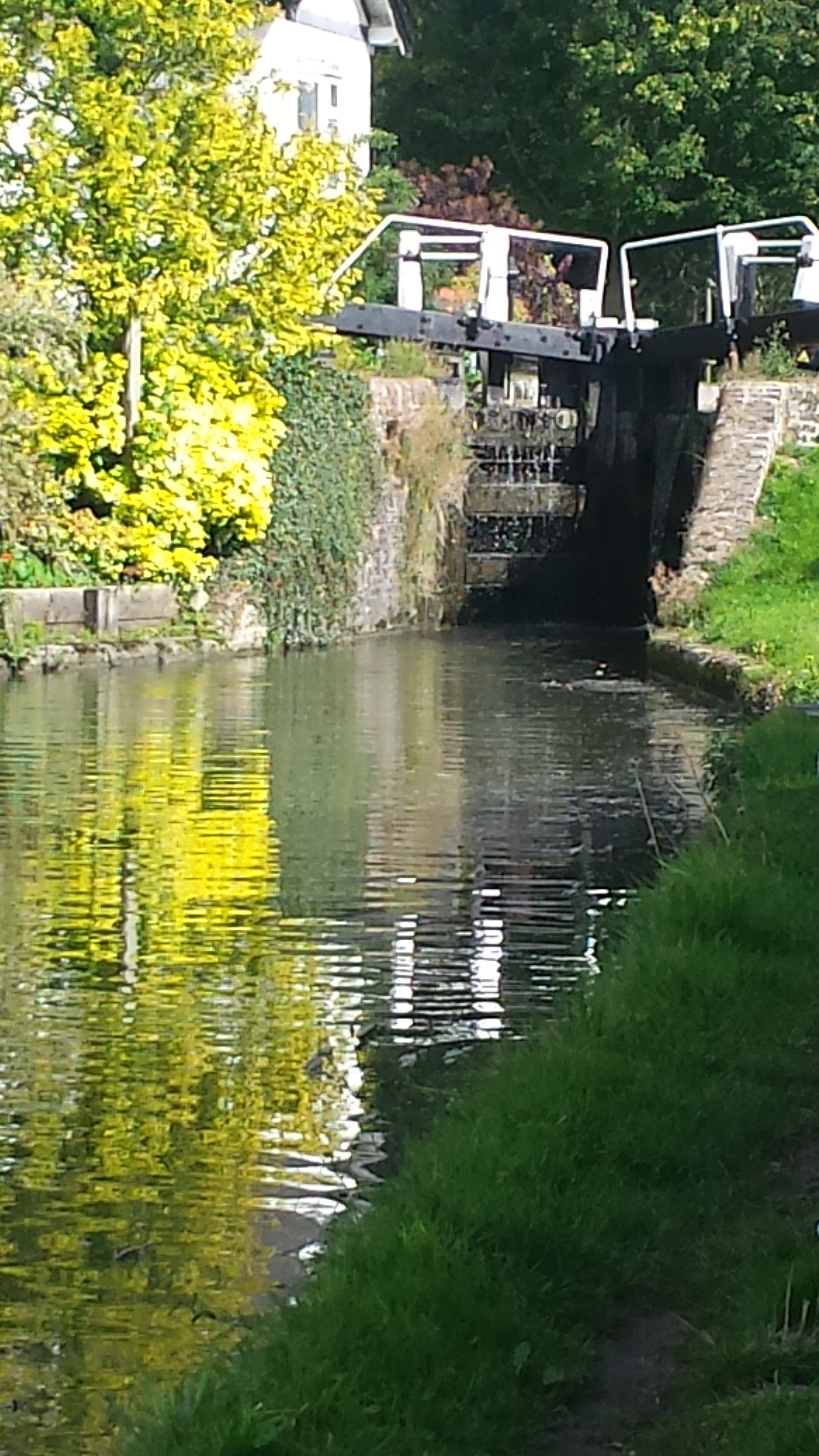 Walk for all 1 hour ALDBURY