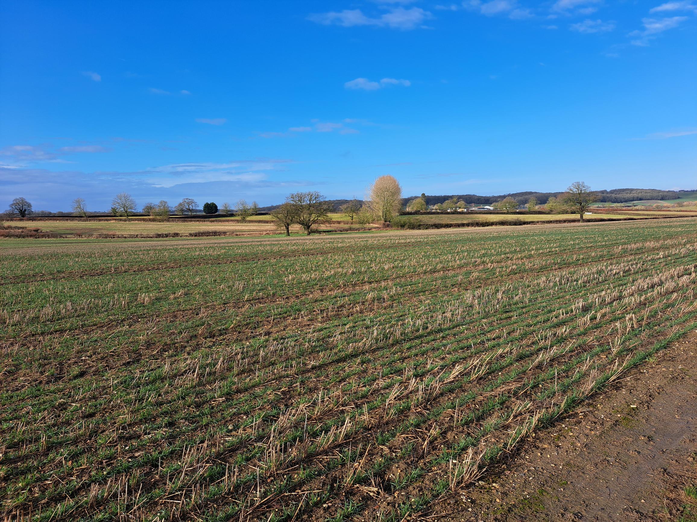 Walk & Talk - Standon East