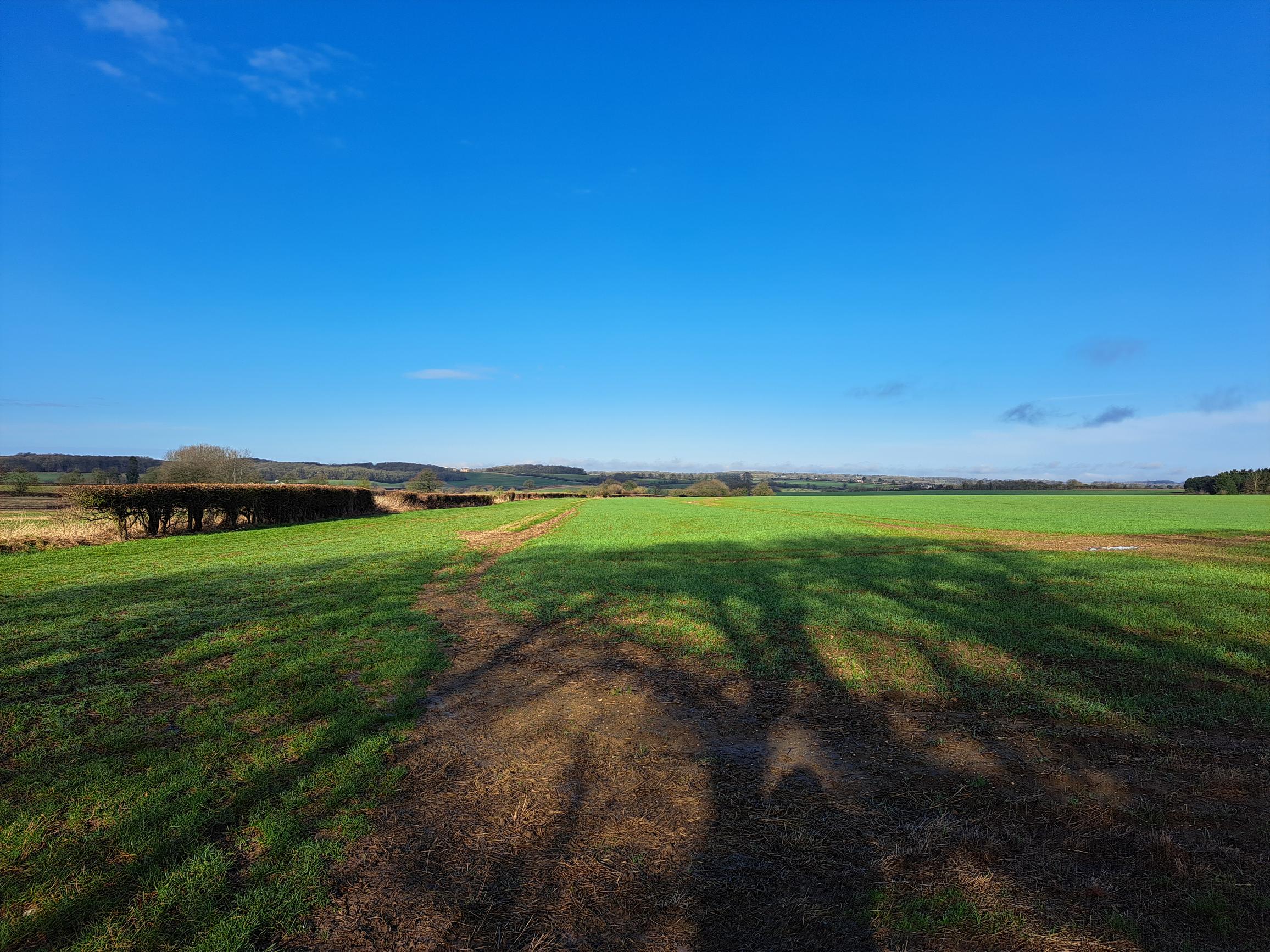 Walk & Talk - Standon East