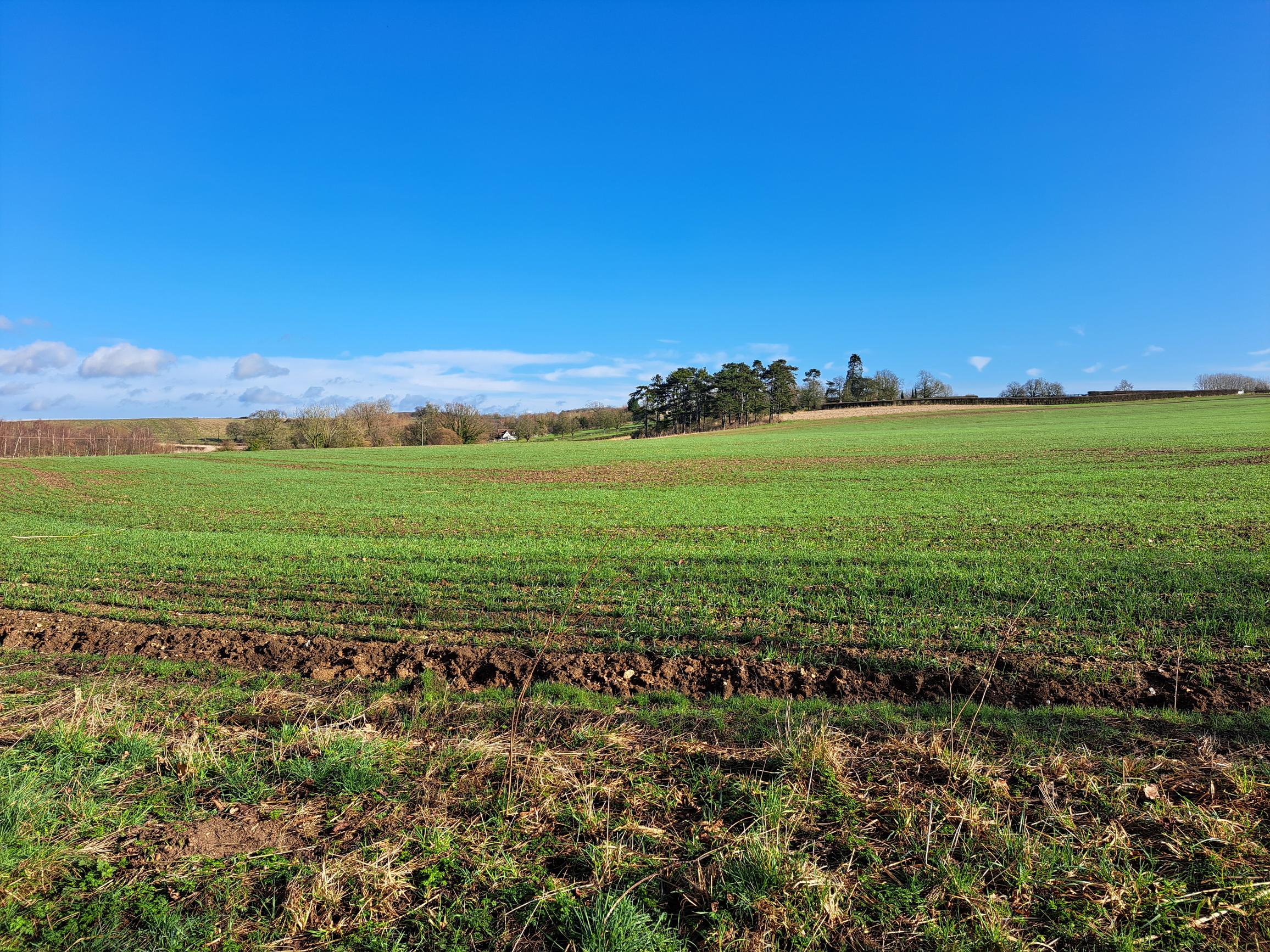 Walk & Talk - Standon East