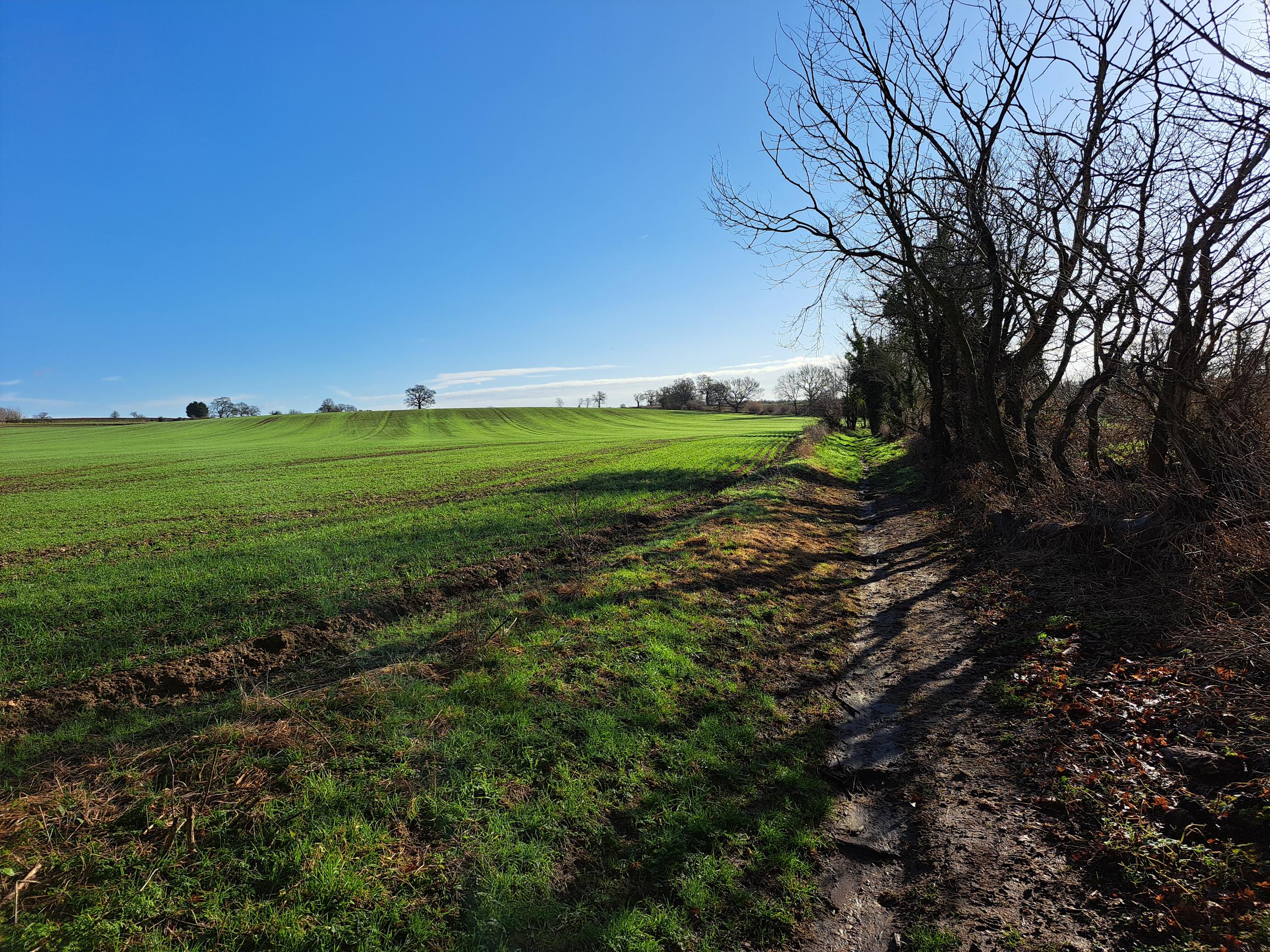 Walk & Talk - Standon East