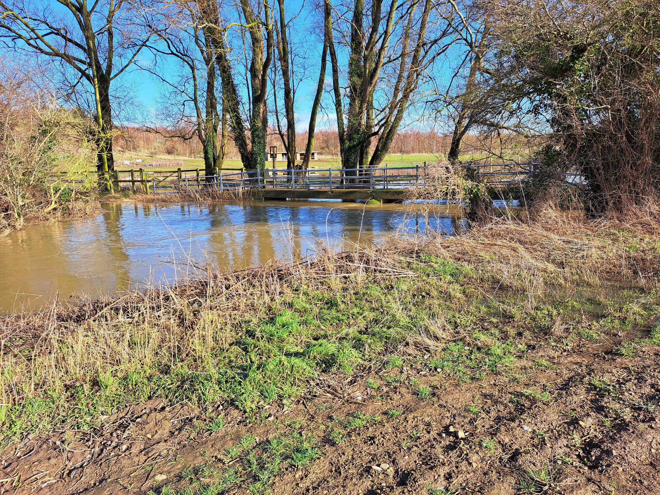 Walk & Talk - Standon East