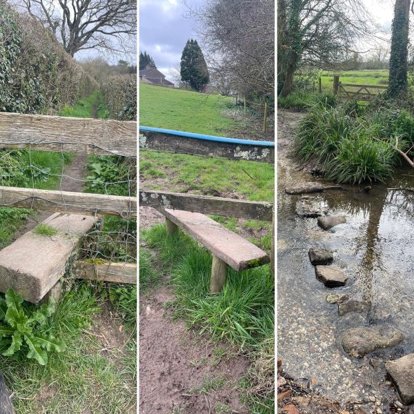 NEW walk Kingston Mauward to Thorncombe with coffee stop.