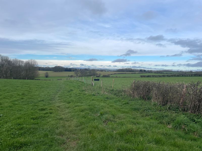 NEW walk Kingston Mauward to Thorncombe with coffee stop.