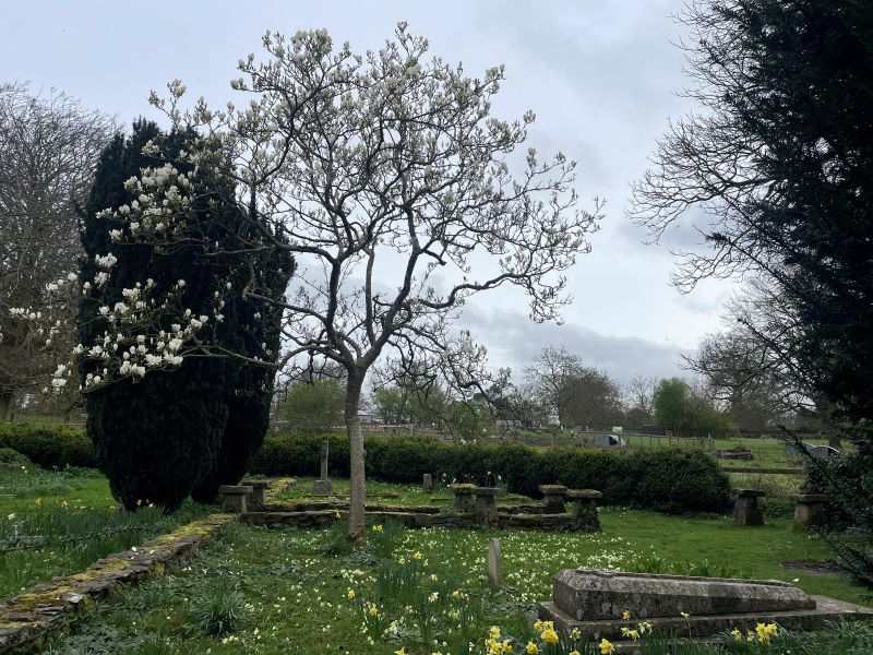NEW walk Kingston Mauward to Thorncombe with coffee stop.