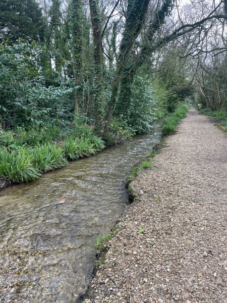 NEW walk Kingston Mauward to Thorncombe with coffee stop.
