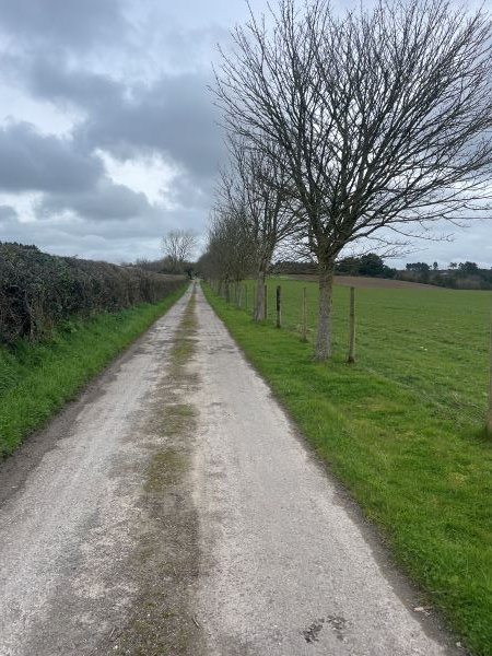NEW walk Kingston Mauward to Thorncombe with coffee stop.