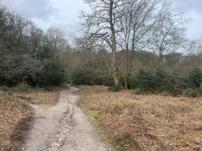 NEW walk Kingston Mauward to Thorncombe with coffee stop.