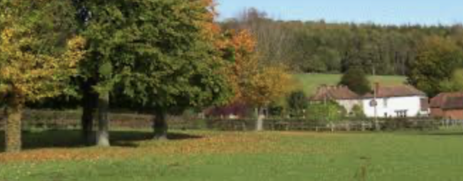 Bucolic Walk from Westdean(Moderate) + Coffee in Westdean Stores
