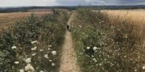North Marden Circular Walk (Pace 1-2)
