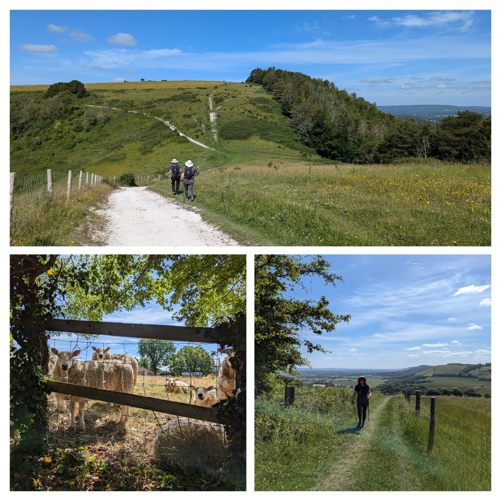 North Marden Circular Walk (Pace 1-2)