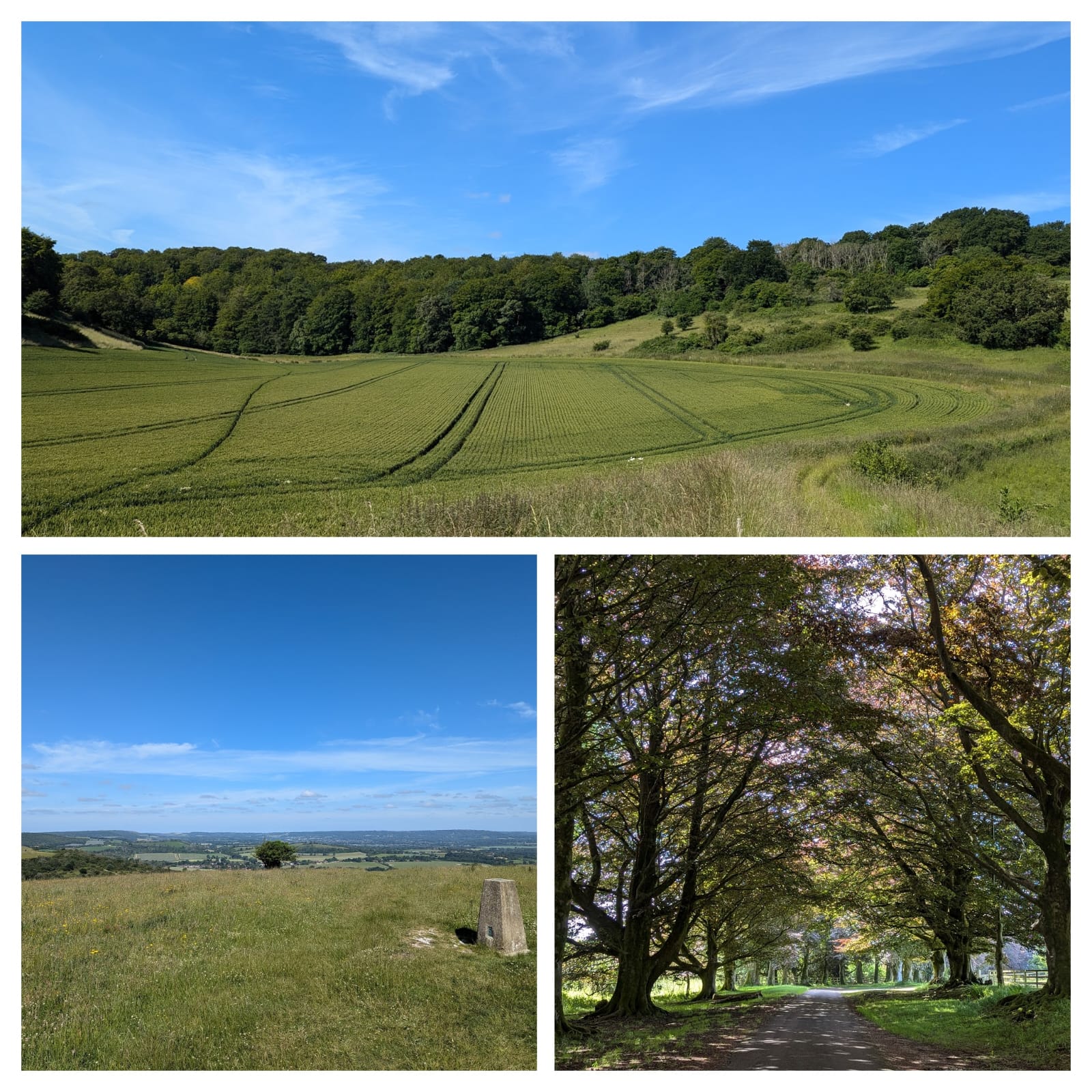 North Marden Circular Walk (Pace 1-2)
