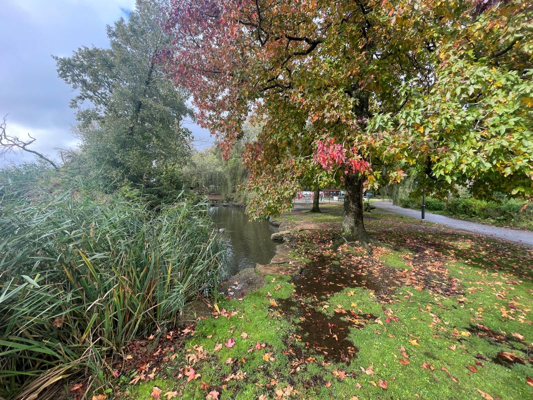 Autumn Nature Walk - Poole Park