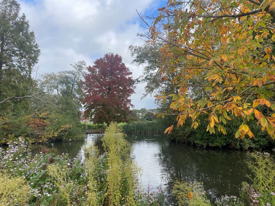 Autumn Nature Walk - Poole Park