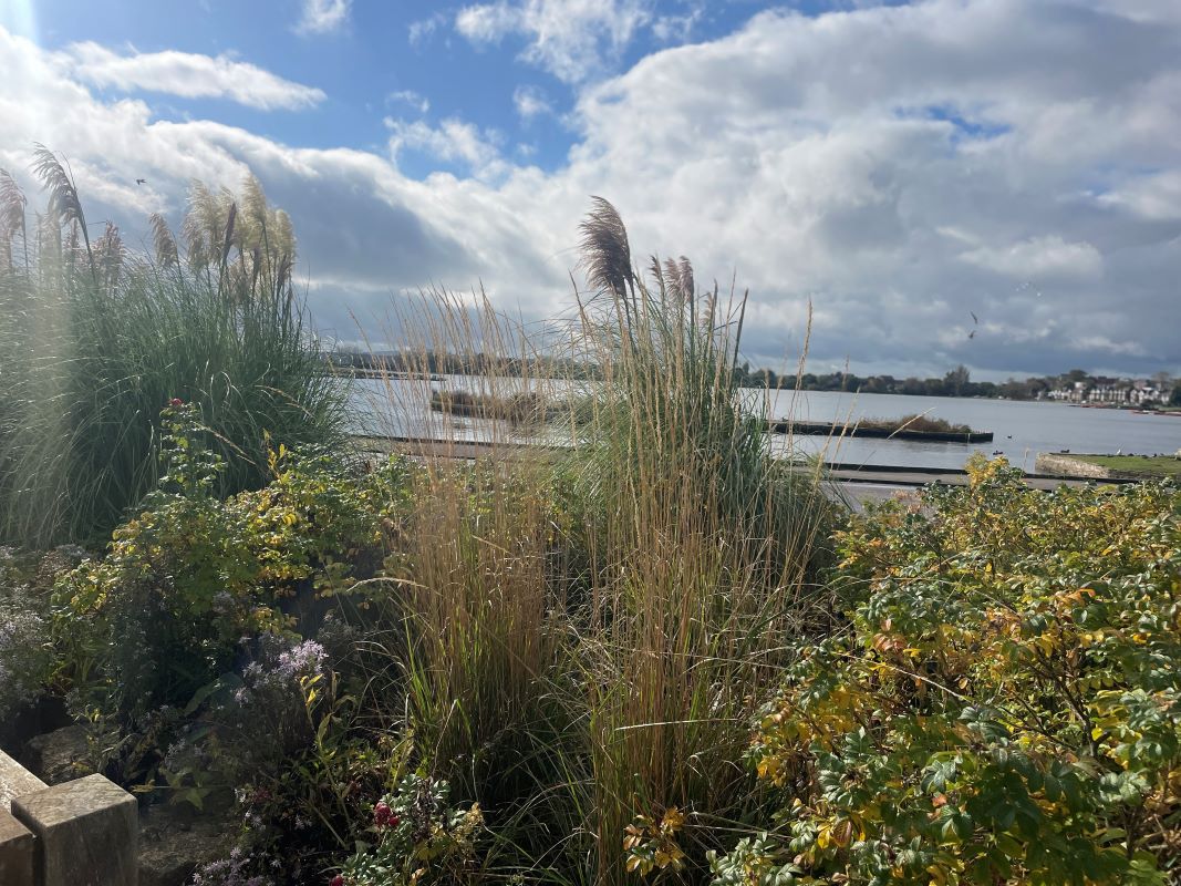 Autumn Nature Walk - Poole Park