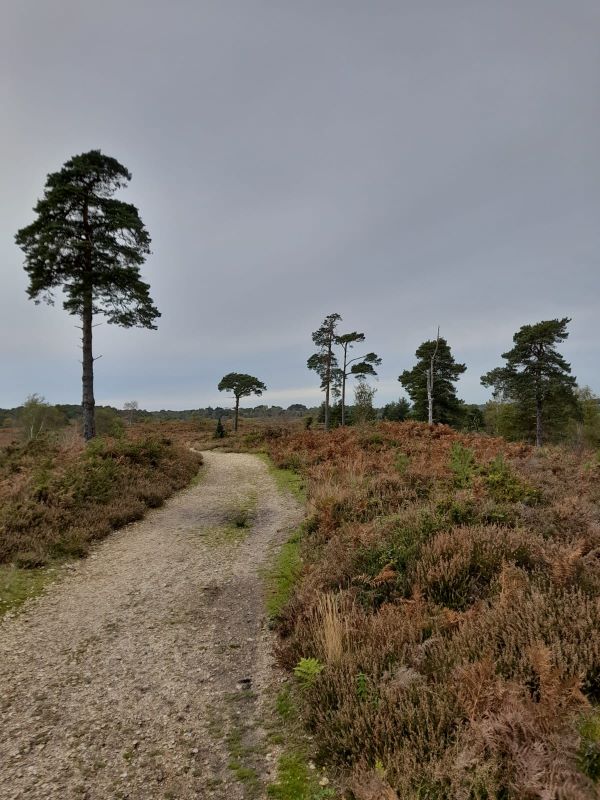 Autumn Nature Walk - Poole Park