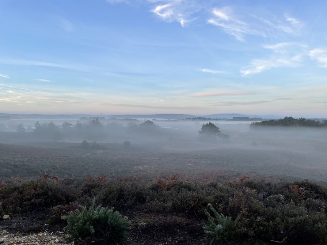 Autumn Nature Walk - Poole Park