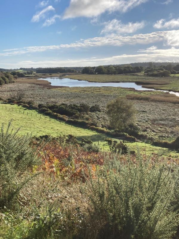 Autumn Nature Walk - Poole Park