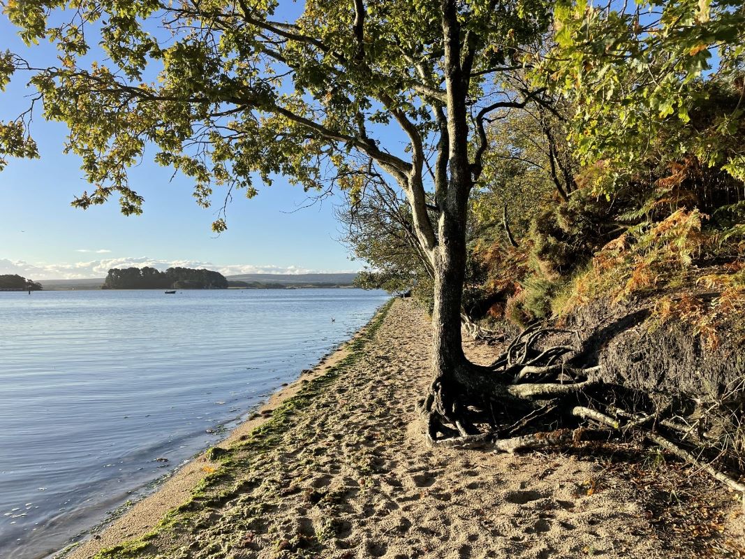 Autumn Nature Walk - Poole Park