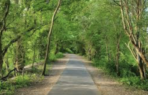 Cuckoo Trail Charity Walk - Polgate