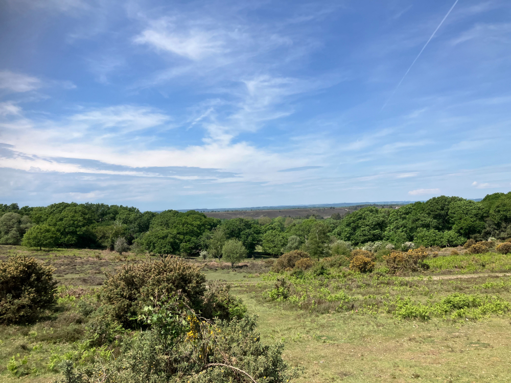 Social Adventure Walk - High Corner Inn