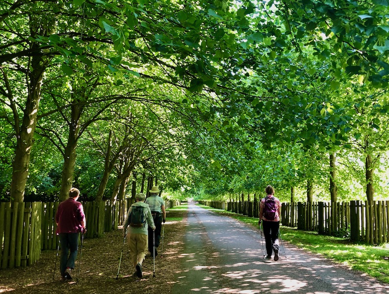 Dunham Adventure Walk