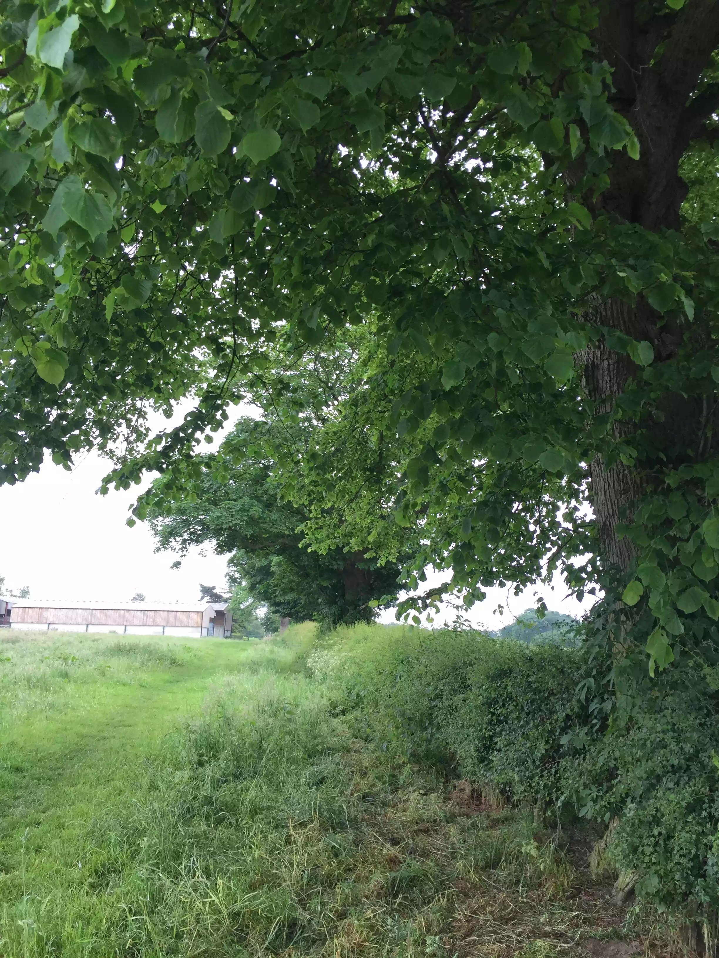 Mobberley Adventure Walk