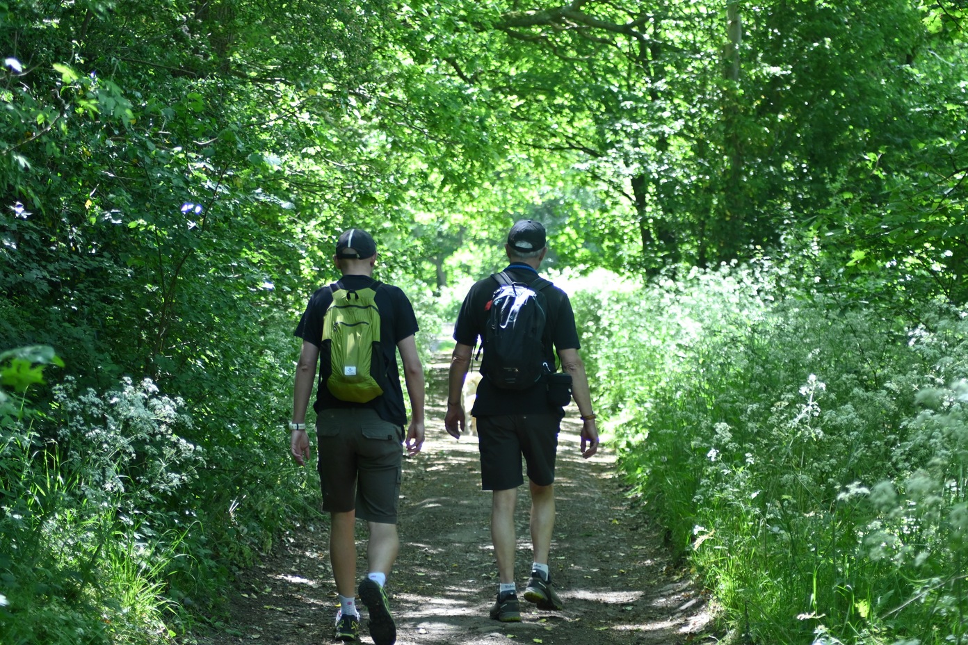 WALX C&C Tour - Tinywood Welcome Walk - 60mins