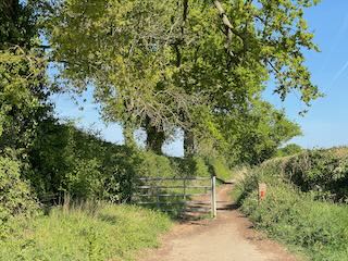 After Starston Valley Walk