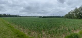 After Starston Valley Walk