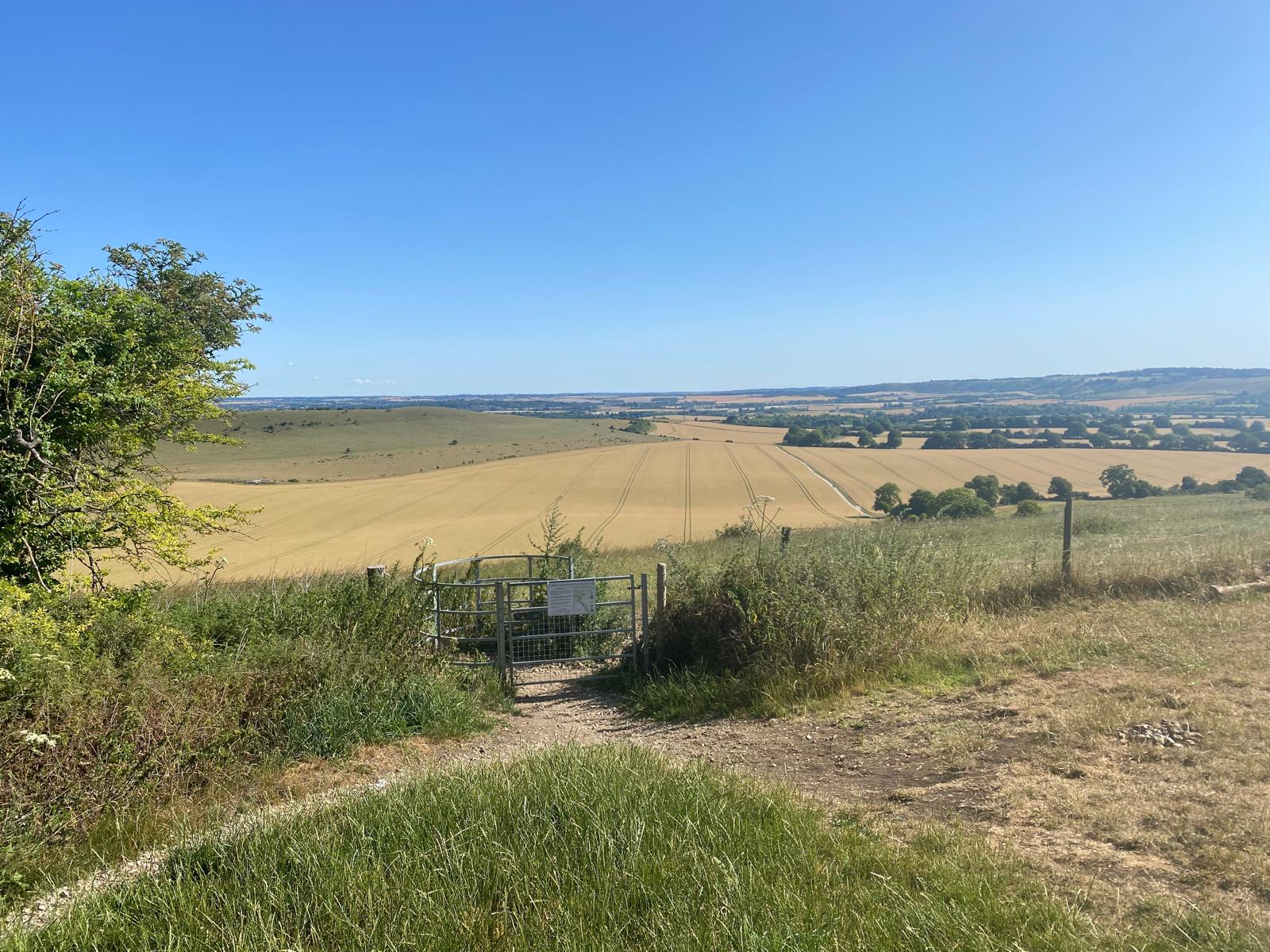 Adventure Walk