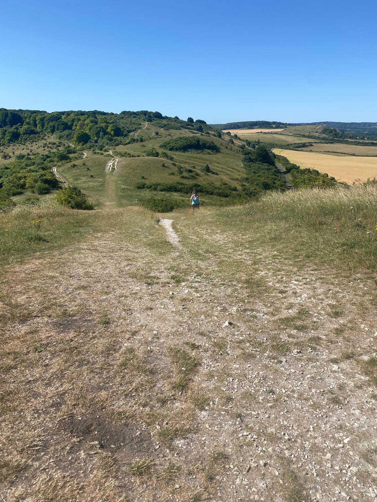 Adventure Walk