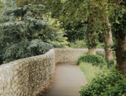 Chichester (Easy) Bimble - Chi Walls Walk