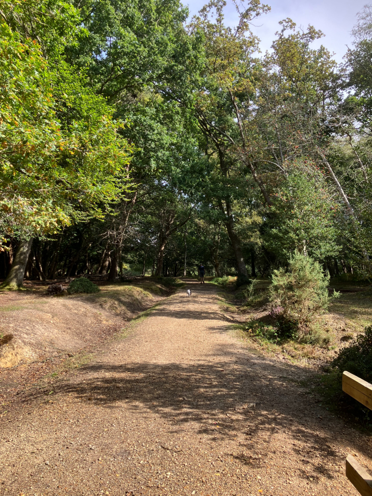 Vereley Adventure Walk