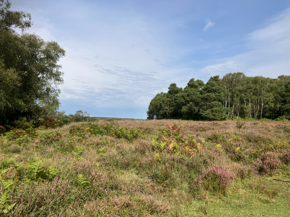 Vereley Adventure Walk