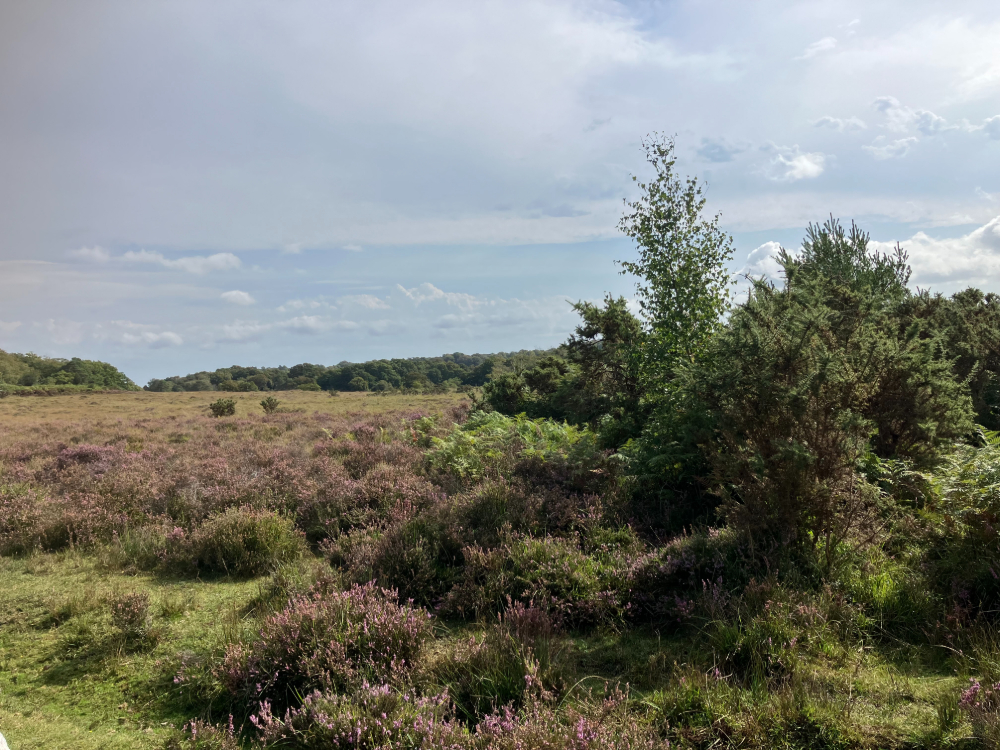 Vereley Adventure Walk