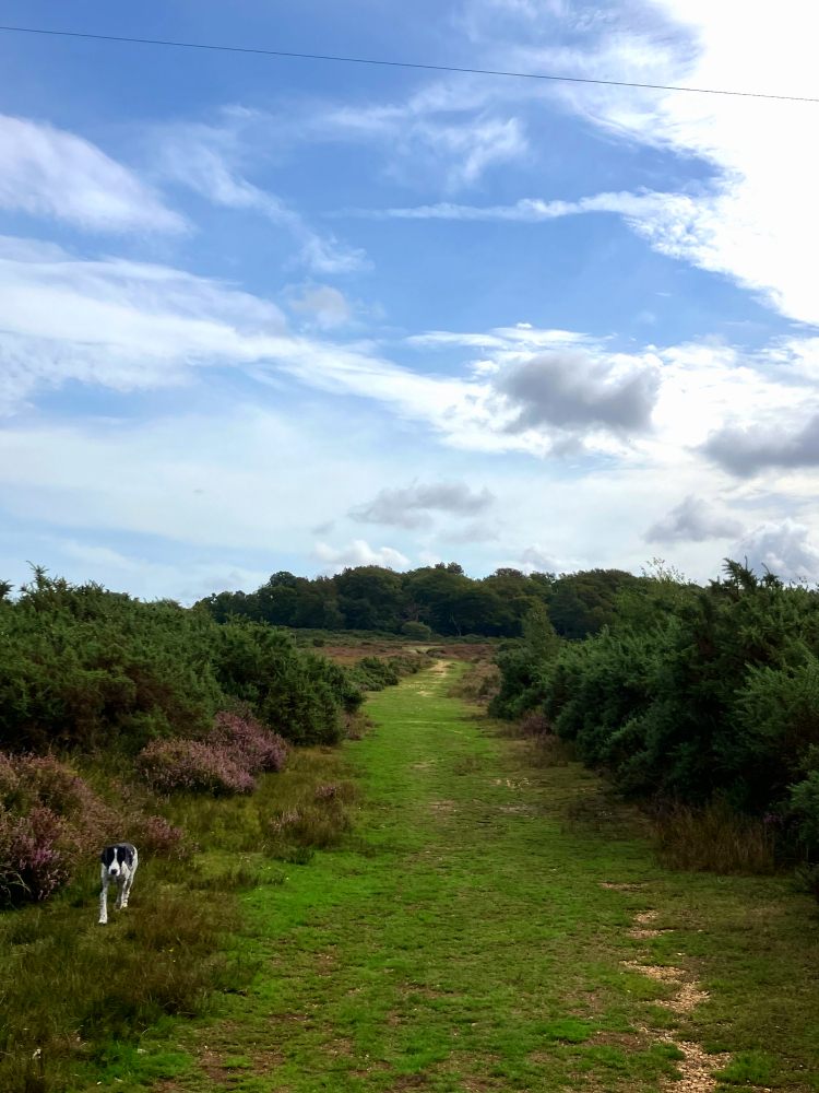 Vereley Adventure Walk