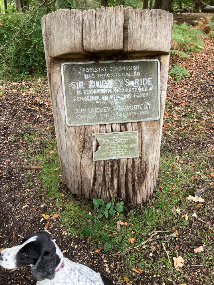 Vereley Adventure Walk