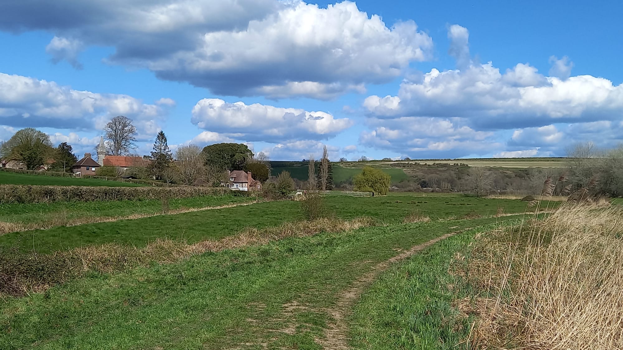 South Stoke Walk (Moderate)