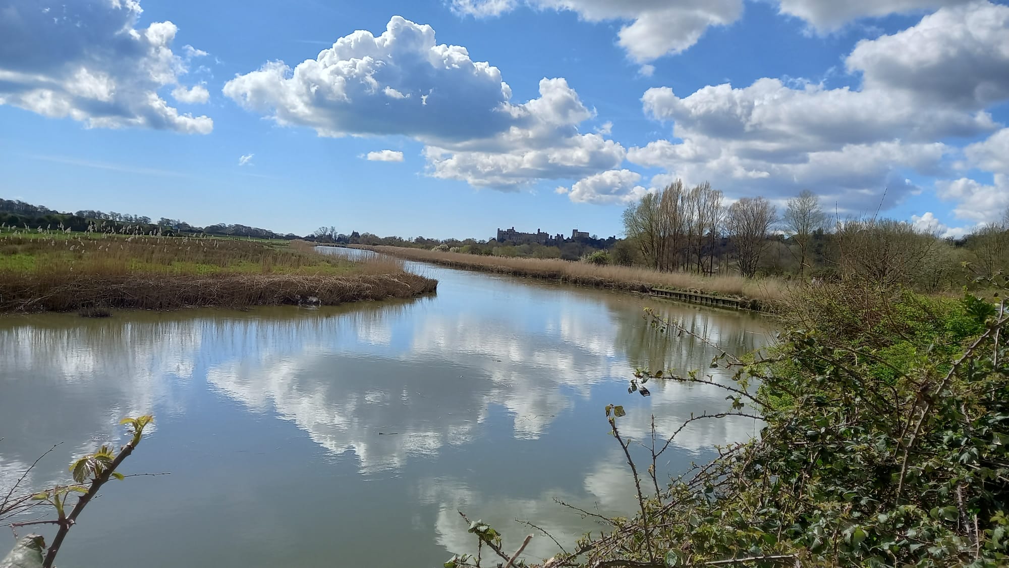 South Stoke Walk (Moderate)
