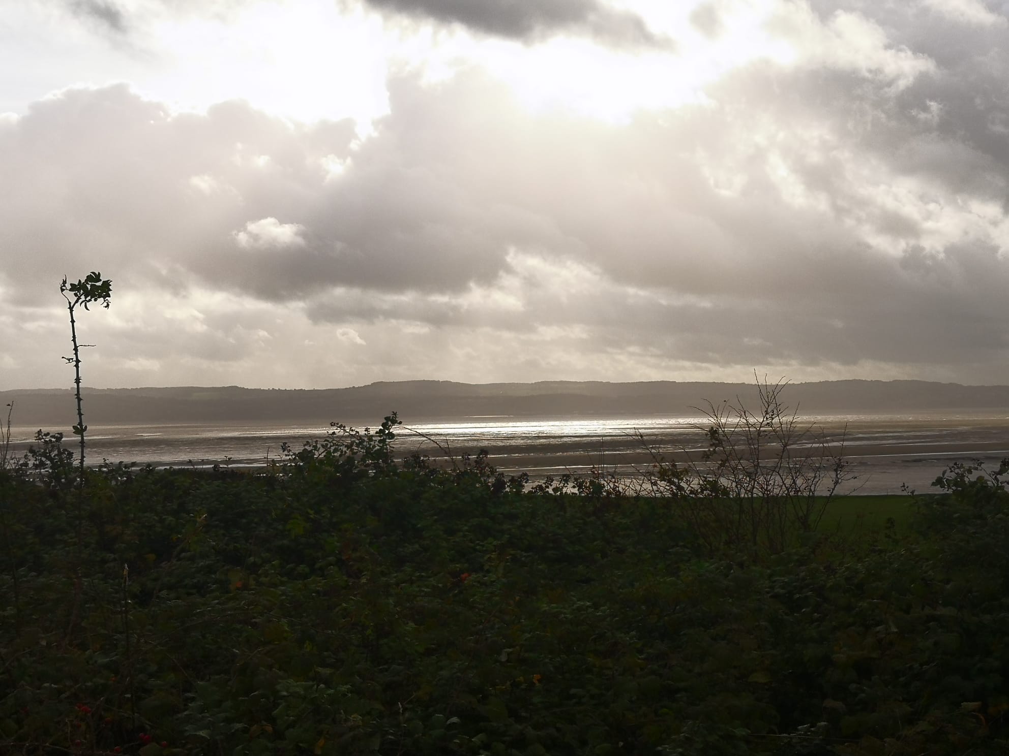 LONGER EXPLORER WALK WIRRAL WAY: HOOTON - WEST KIRBY